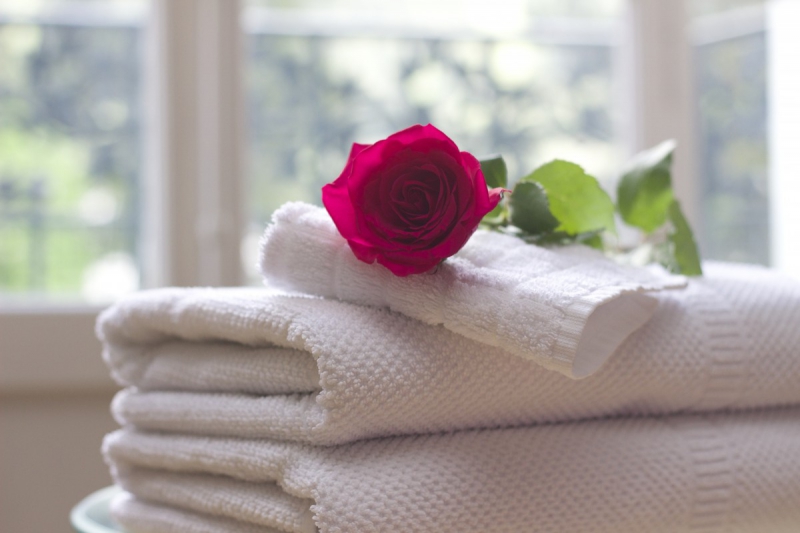 chambre-hote-LE THORONET-min_towel_rose_clean_care_salon_spa_white_bath-731641